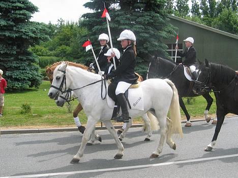 Anden særlig race Bonnie <3 - Optog til Augustenborg ringridning. billede 7