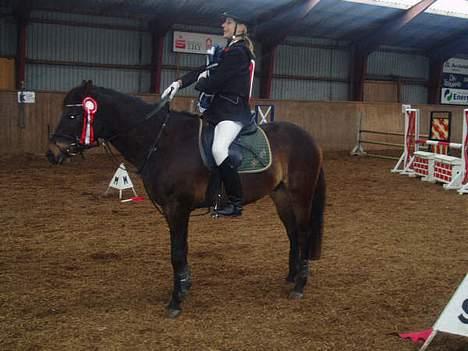 DSP Stendalens Malero - død:( - vi vandt én LA.. første gang vi startede den klasse,..:) han er god ham drengen.. billede 7