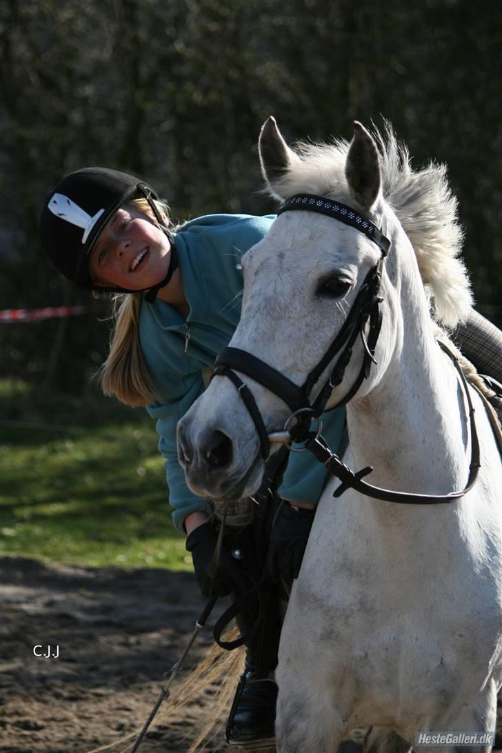 Sportsaraber (A) Mon Cherie <3 <3 SOLGT <3 <3 - der findes ikke en dig som dig! SMUKKE billede 8