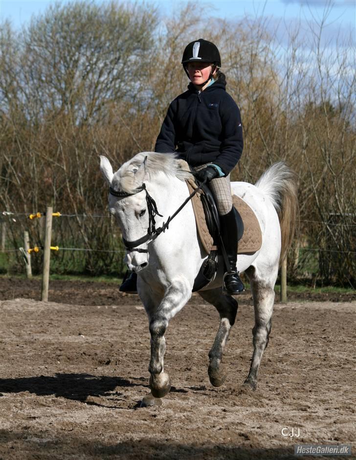 Sportsaraber (A) Mon Cherie <3 <3 SOLGT <3 <3 - Elsker dig smukke <3<3<3 -- taget af christina billede 11