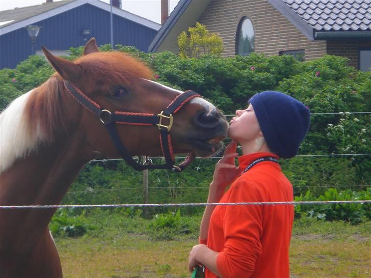 Pinto BamBino - # 9 Nyt - BamBino er og bliver min eneste øjesten (´: billede 9