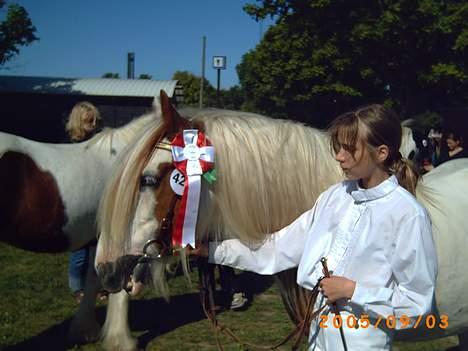Irish Cob Basse Blue Eye <3  - Mig og Basse på Storehestedag... Han er lige blevet kåret... billede 8