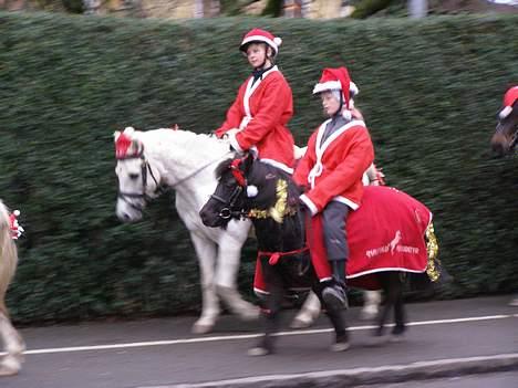 Shetlænder Sorte<3 - Vi synger ´PÅ LOFTET SIDDER NISSEN MED SIN JULEGRØD´ <33 love <3 foto: nico billede 20