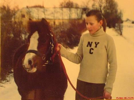 Anden særlig race enghøjs isabel* Solgt* billede 12