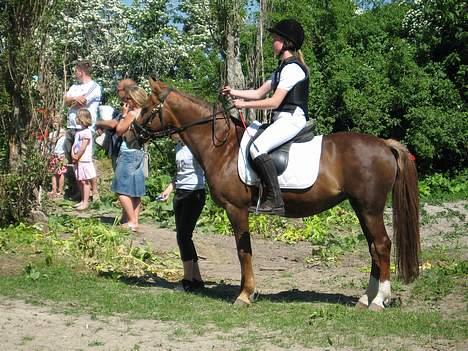 DSP Lori *død* R.I.P. - springstævne.. gik ikk godt :-/ billede 5