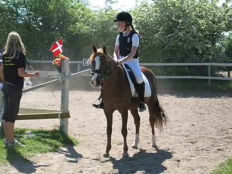 DSP Lori *død* R.I.P. - opvarmning til springstævne billede 6