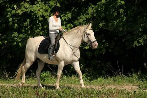 Appaloosa coco (SOLGT) - mig og coco skridter af på ridebanen billede 3