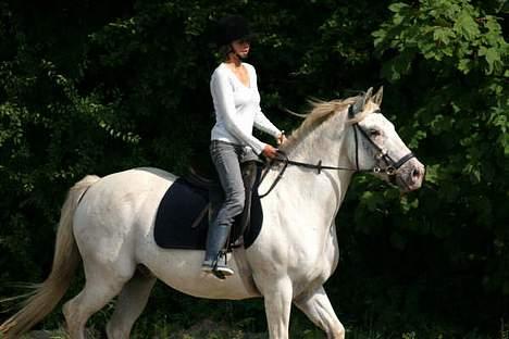 Appaloosa coco (SOLGT) - mig og coco i trav... billede 4