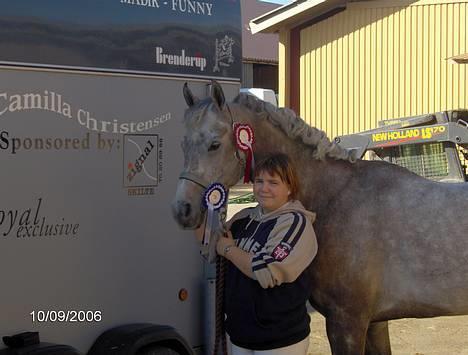 Arabisk fuldblod (OX) T.A. Madir  - Dygtig pony :) billede 16