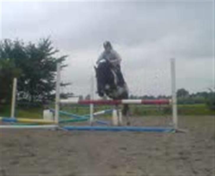 Pinto Solvej †   - Men vi vil leve lige nu  For livet er underfuldt  Eller hva´ siger du?  billede 2