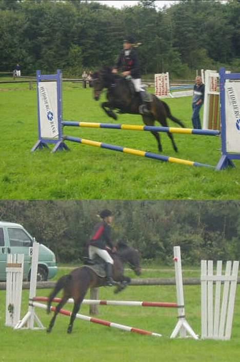 DSP Stendalens Malero - død:( - til spring stævne på thyholm.  billede 9