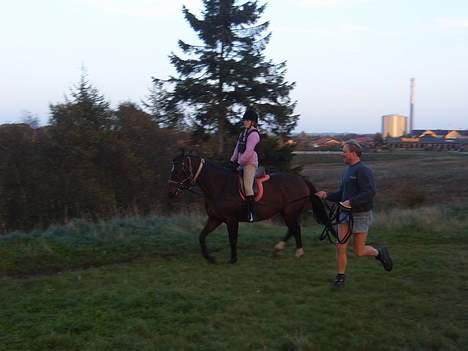 Dansk Varmblod Himmerigs Karo - Første gang jeg rider hende <3 :) billede 4