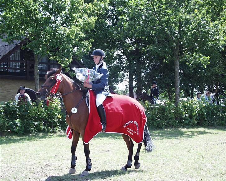 Anden særlig race Lg´s Gipsy Lady [Solgt] - gipsy og hendes gamle ejere. også hende der ejer hende igen nu(´: billede 20