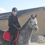 Anden særlig race Malou