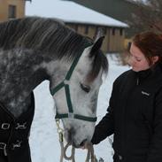 Anden særlig race Malou