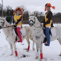 Tysk Sportspony Elina 17