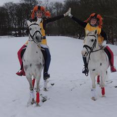 Tysk Sportspony Elina 17