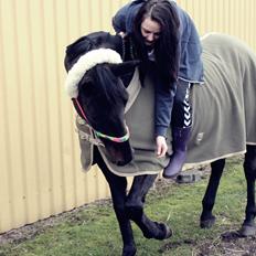 Trakehner Ranette - Prinsesse Nette :-*