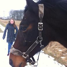 Oldenborg søstedgårds honey (pigen)