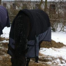 Oldenborg søstedgårds honey (pigen)