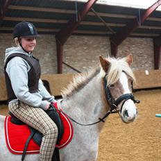 Anden særlig race Unique
