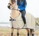 Anden særlig race Shanon B-pony