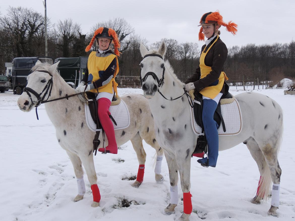 Tysk Sportspony Elina 17 - Par de deux i ABR januar 2013, udklædt som Pippi. billede 2