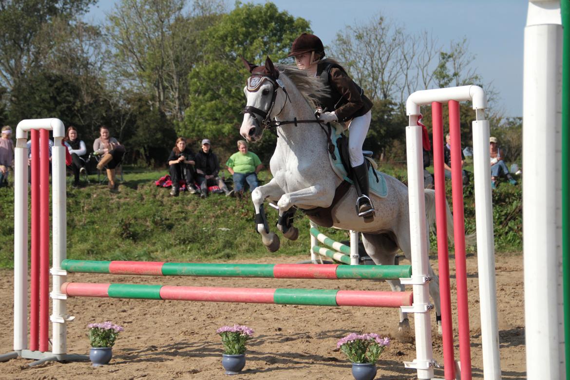 Tysk Sportspony Elina 17 - Med min søster til DM i millitary billede 5