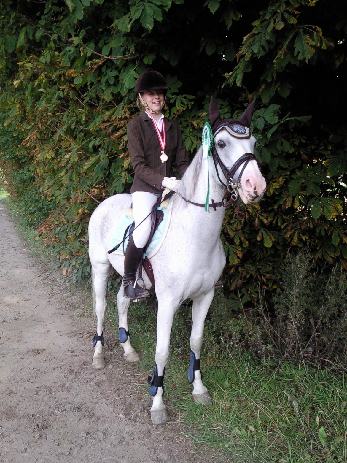 Tysk Sportspony Elina 17 billede 7