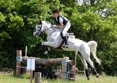 Tysk Sportspony Elina 17 billede 8