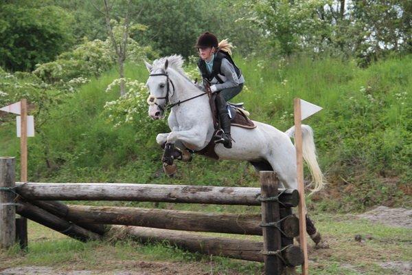 Tysk Sportspony Elina 17 billede 9