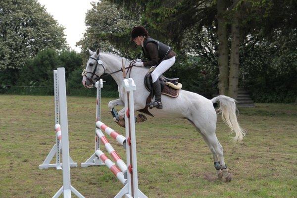 Tysk Sportspony Elina 17 billede 10