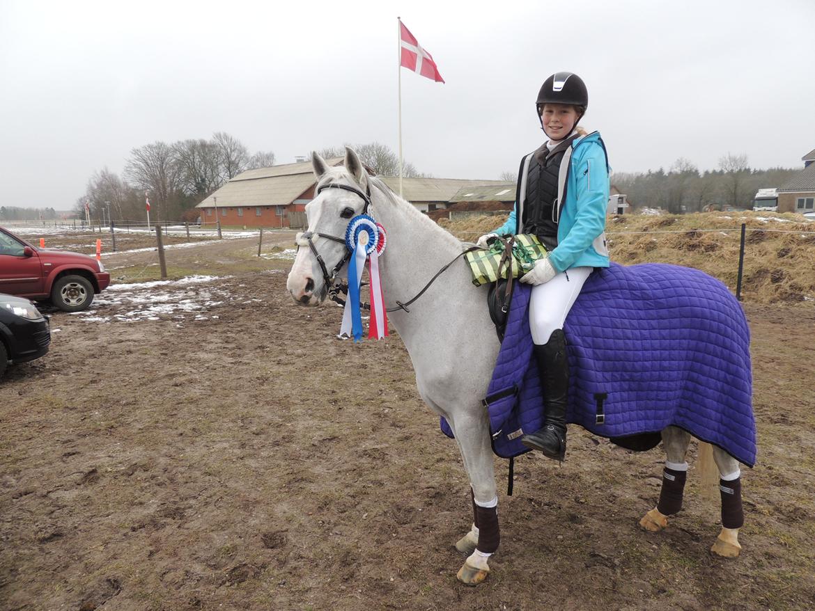 Tysk Sportspony Elina 17 billede 11