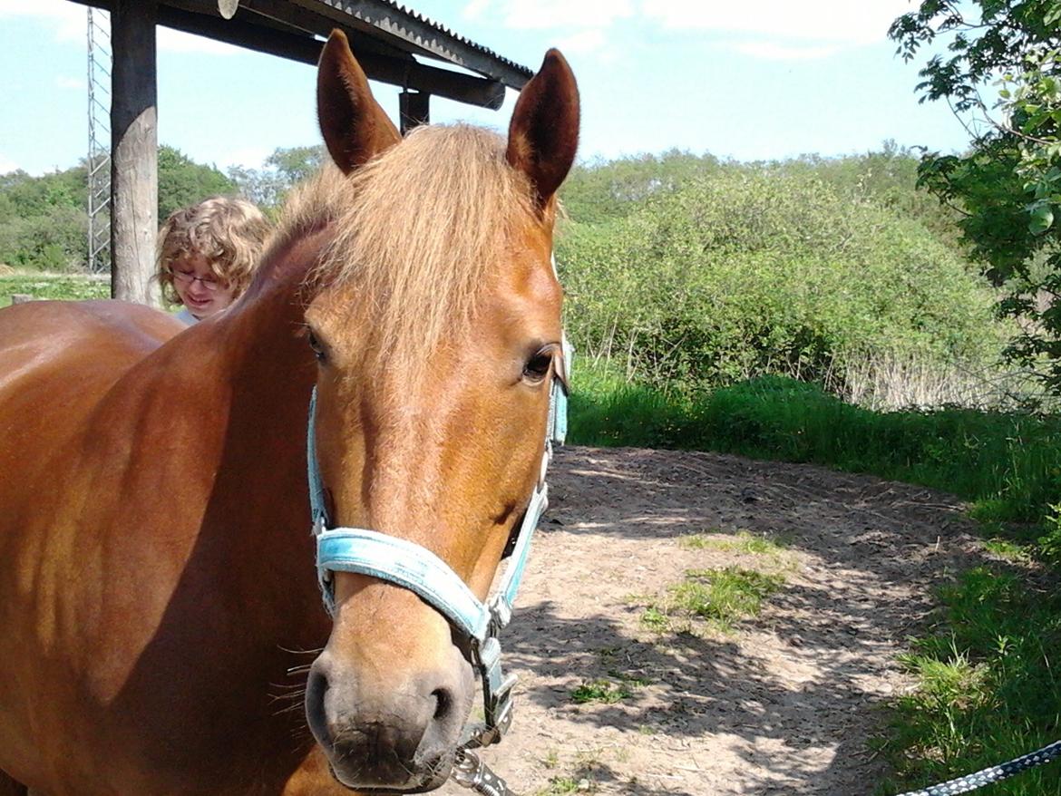 Anden særlig race Candy - Taget af Kirsten Laursen billede 13