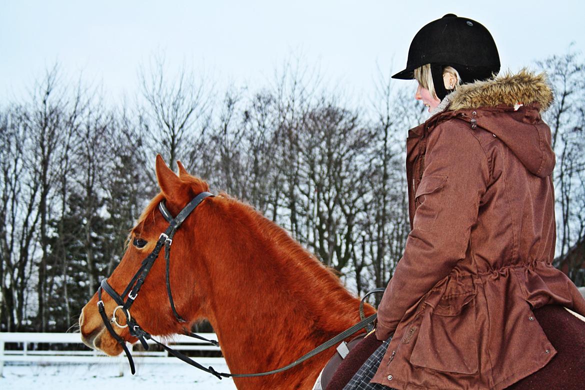 Palomino Argento<3 (rød) billede 7