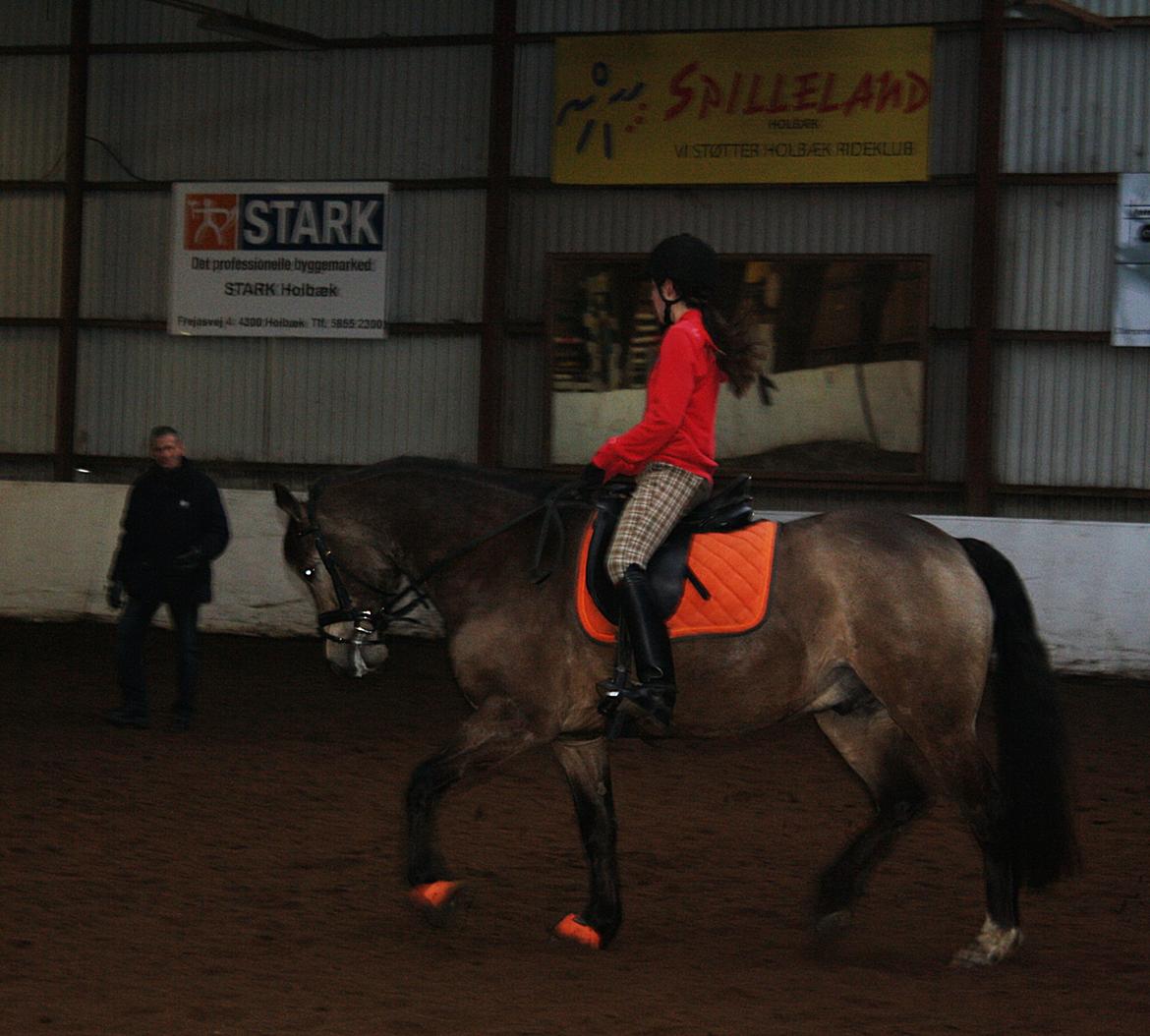 Connemara Ac-Seje Charlie af Engvang *..Bassemand..* - Undervisning. :)<3 billede 19