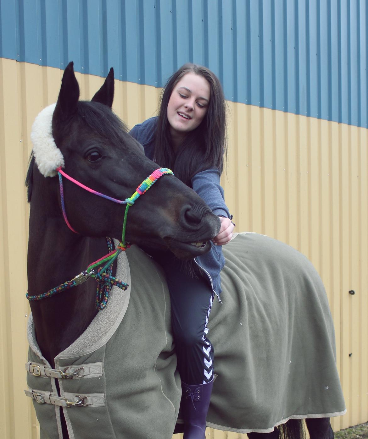 Trakehner Ranette - Prinsesse Nette :-* - Hun kan smile fra jorden. Nu prøver vi fra ryg .... thihi vi prøver :P billede 10