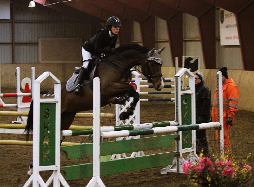 Dansk Varmblod Åen`s April - B - HEST <3. - Meget velspringende, mangler bare lige forbenene! haha! :-* billede 16