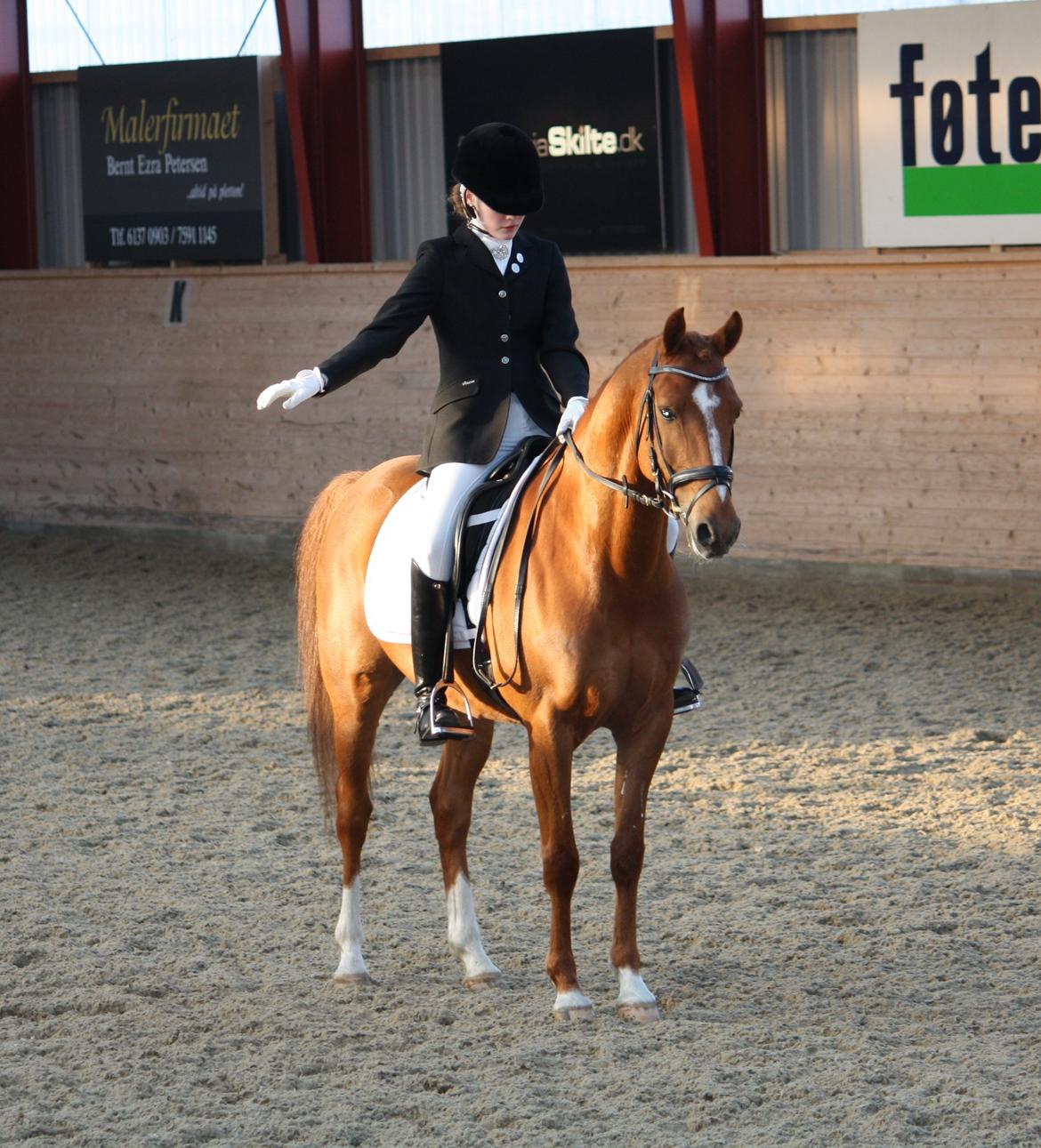 DSP BOMGAARDENS ANDIAMO B-PONY - Stævne i Egum rideklub 2013 billede 17