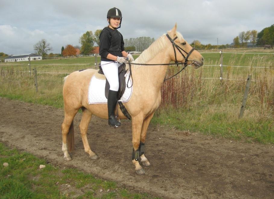 DSP Grønagergård Dobra - Jeg ser lidt dum ud men du er altid sød!!!!!!!!! <3 billede 15