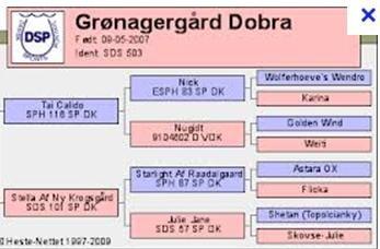 DSP Grønagergård Dobra - Dobras stamtavle  billede 19