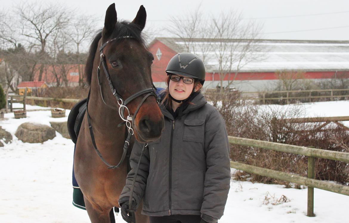 Anden særlig race Buster (saxo) billede 2