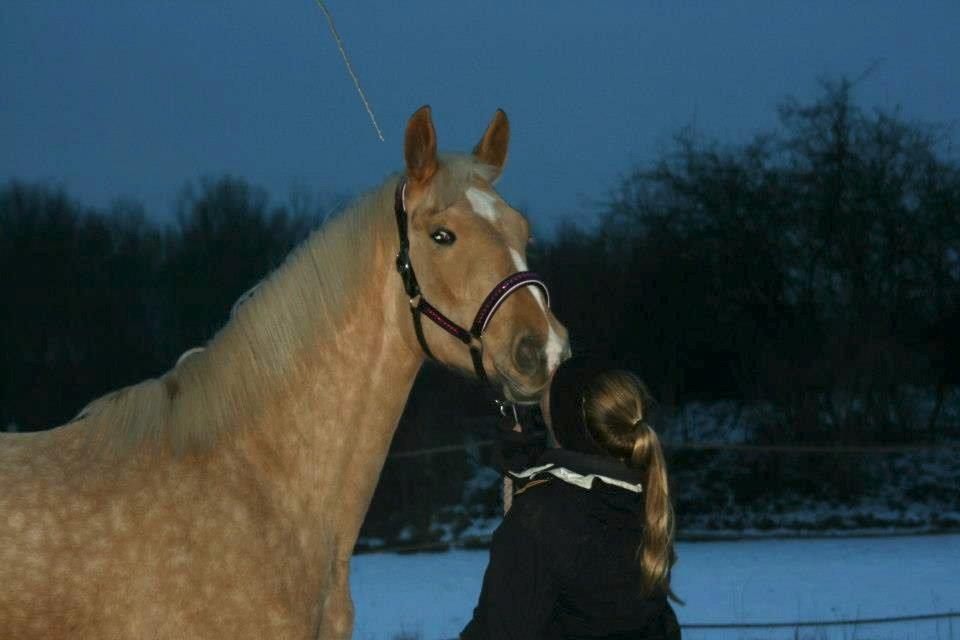 Palomino Magic Missya - I will always love you!
Dig og mig til verdens ende! <3
elsker dig smukke! <3 billede 34