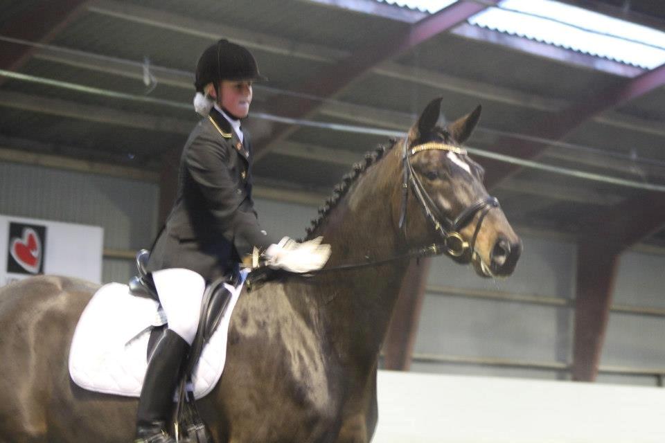 Dansk Varmblod Botelli - Første stævne december 2012 billede 16