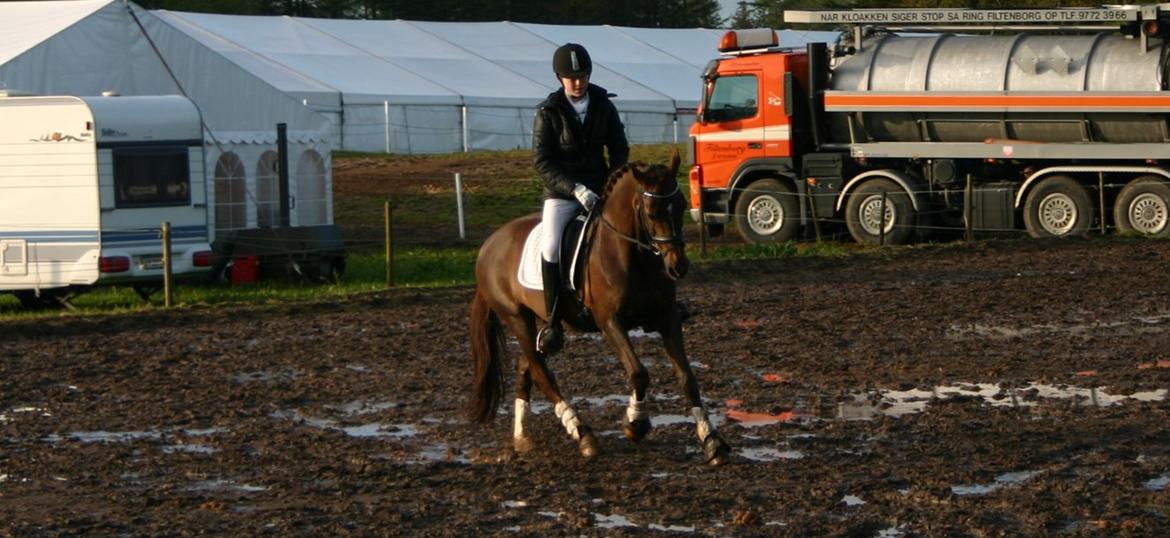 Anden særlig race Fabian - Min skønne og jeg til Morsø <3 billede 12