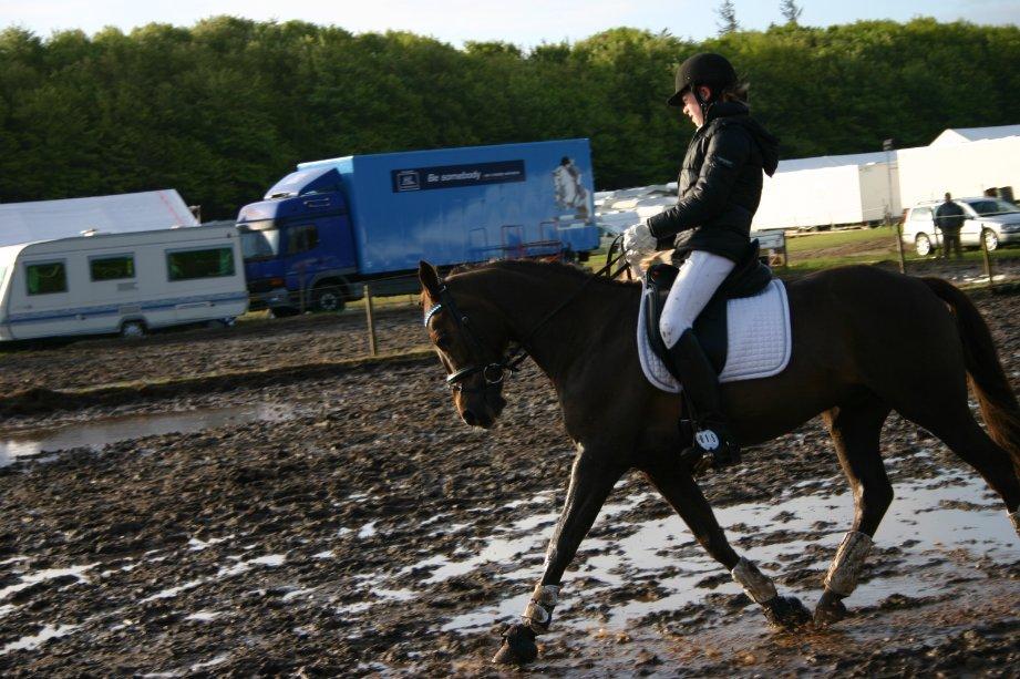 Anden særlig race Fabian - Pyha for en mudder-tur ;D
Morsø 2012 billede 23