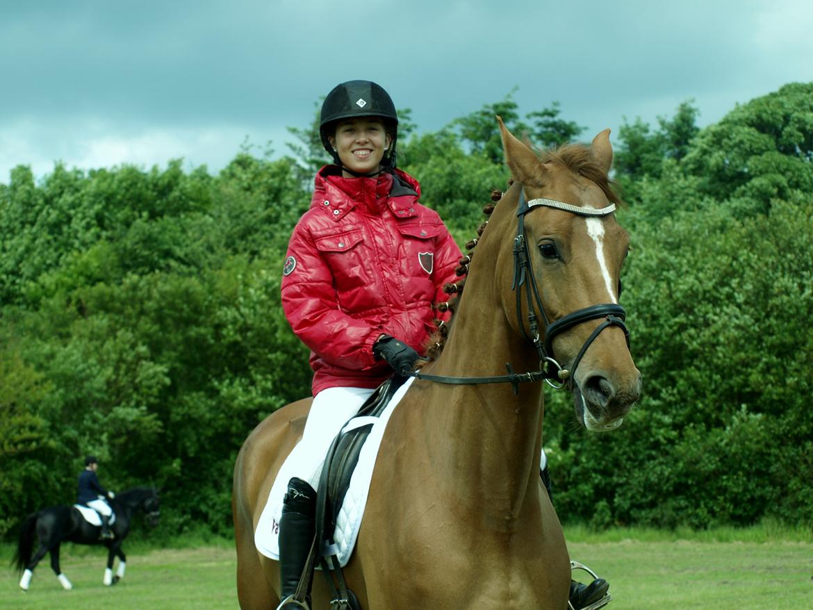 Dansk Varmblod Rolsted´s Cashot - du & jeg imod resten af verden <3 billede 20