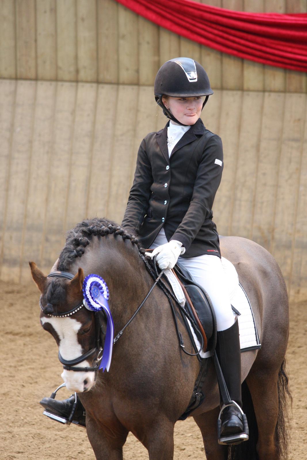 Welsh Pony (sec B) Moelgarnedd Montana A PONY - 2. plads :) billede 21