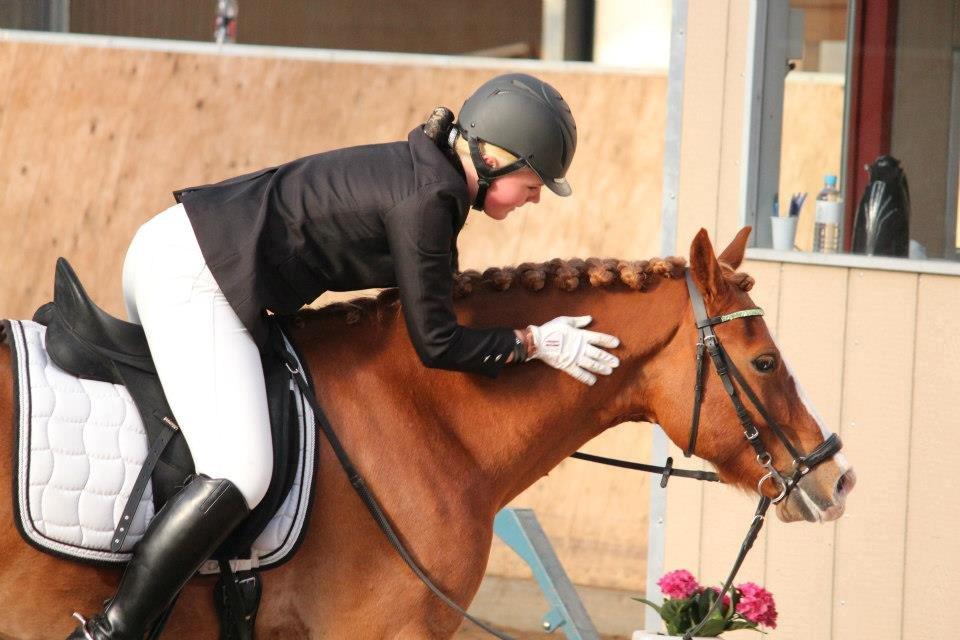 Welsh Cob (sec D) Dorthealyst Moonraker (L) - b-pony - Sidste stævne. Minskat <3 Foto: Maria Mortensen billede 19