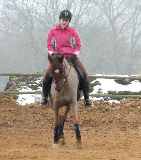 Arabisk fuldblod (OX) El Sheik Charme - Schenkelvigning :) - Foto Berit Krintel billede 20